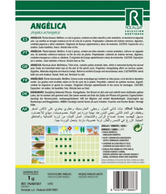 Angélica