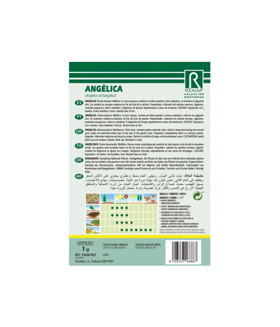 Angélica