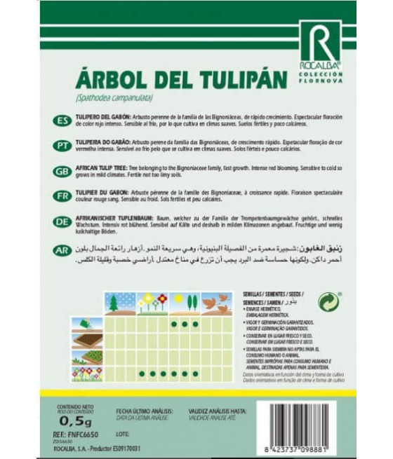 Arvore das Túlipas
