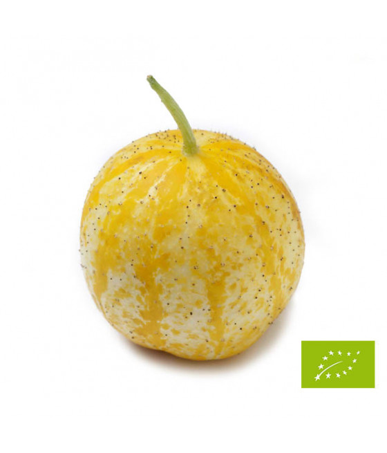 Sementes de Pepino Limão Bio