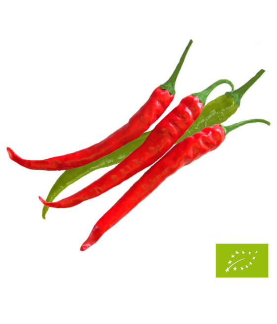 Sementes de Pimenta Cayenna...