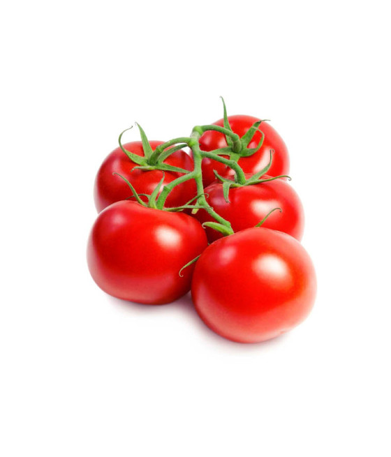 Sementes de Tomate Moneymaker