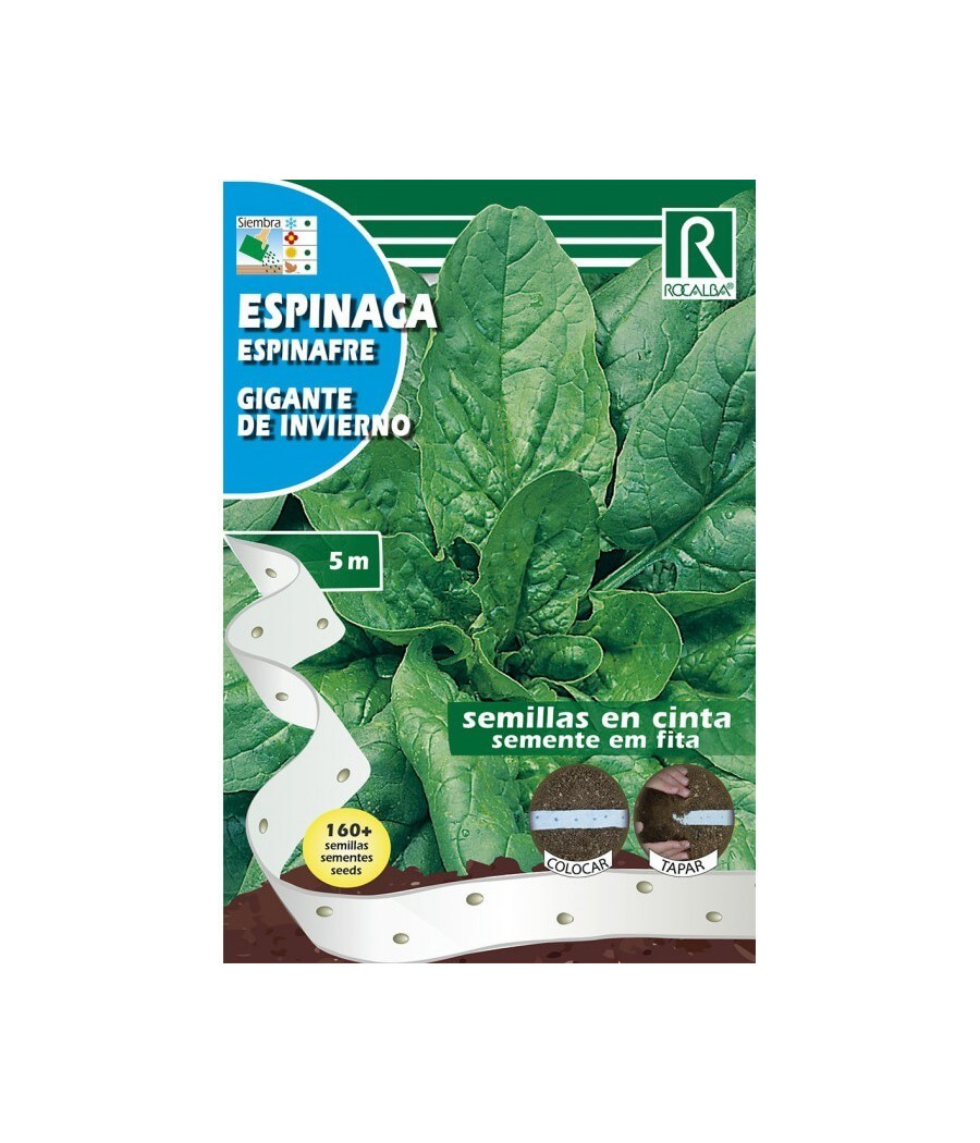 Espinafre Gigante de Inverno - em Fita