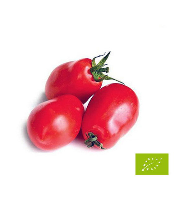 Sementes de Tomate San Marzano Gigante 2