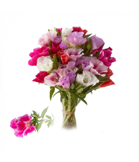 Sementes de Godétia (Flor de Azálea) Dobrada - Mistura
