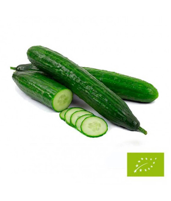 Sementes de Pepino Telegraph Improved - BIO