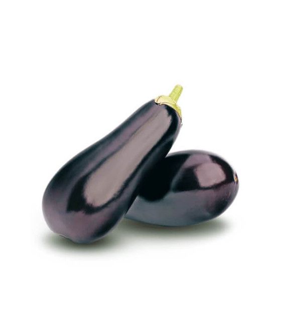 Beringela Black Beauty