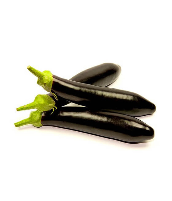 Beringela Negra de Barbentane
