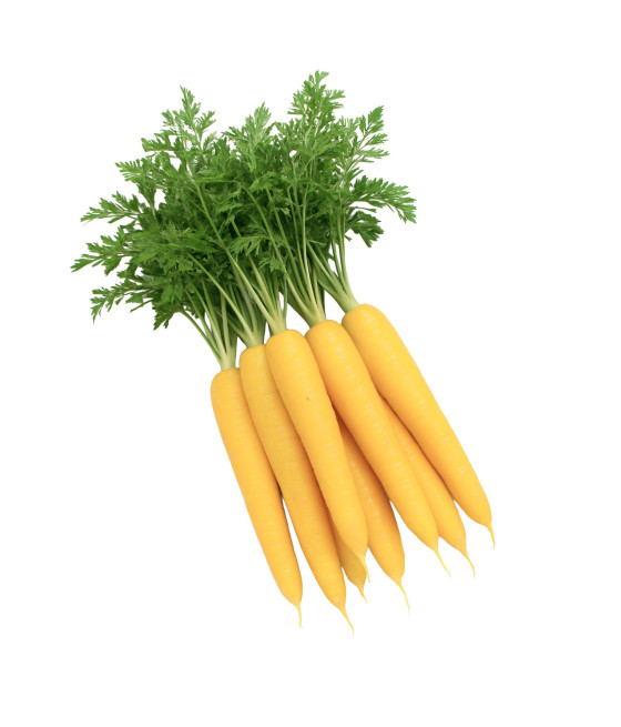 Sementes de Cenoura Amarela...