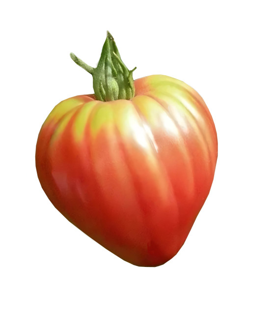 Sementes de Tomate Coração...