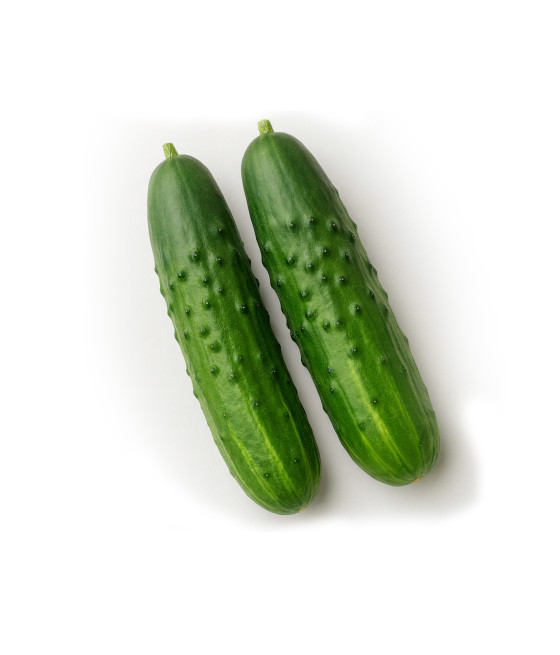 Sementes de Pepino Marketmore 76 - BIO