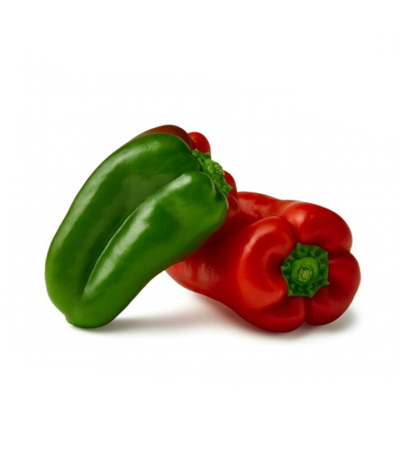 Sementes de Pimento doce de Espanha