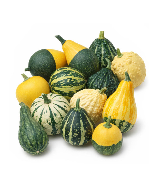 Sementes de Abóboras...