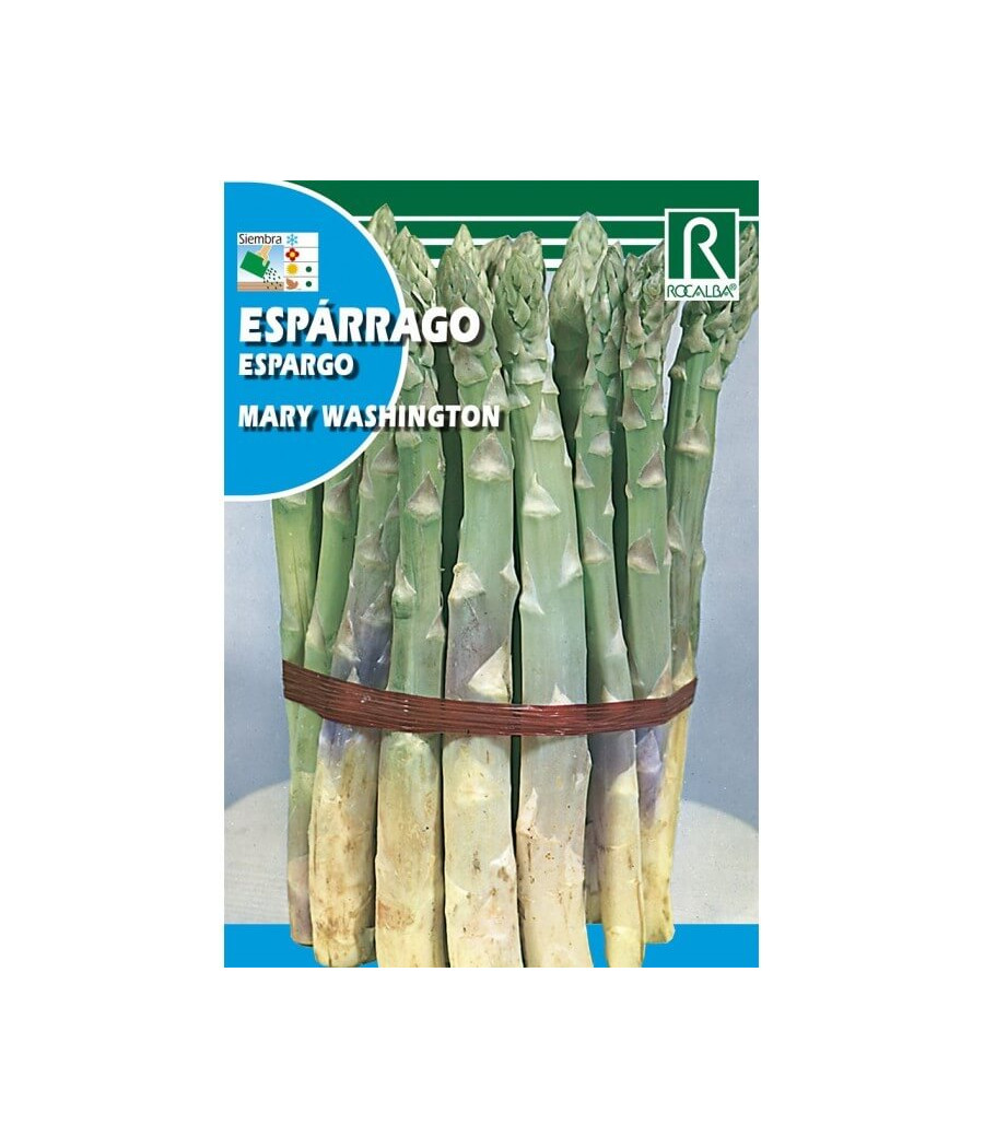Espargo Mary Whashington