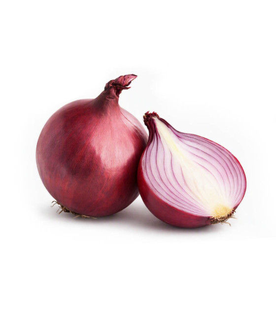 Sementes de Cebola Morada...