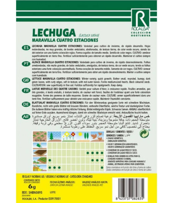 Alface Maravilha das 4 Estações