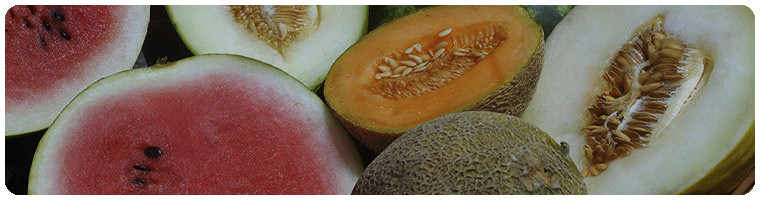 Sementes de frutas
